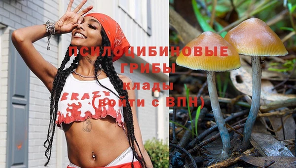 соль ск Белокуриха